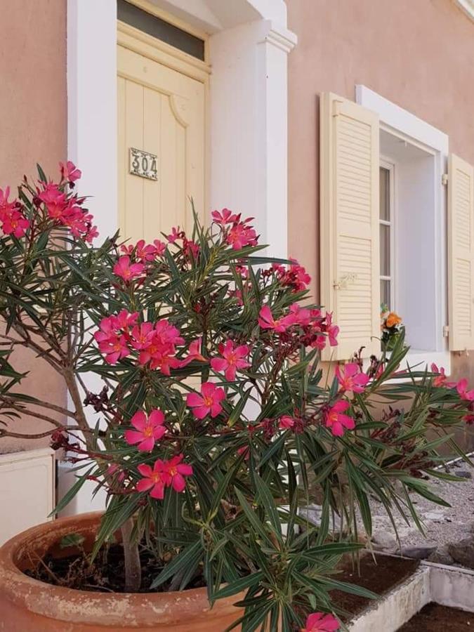 Provencal House In Fayence With Pool & Indoor Spa Екстер'єр фото